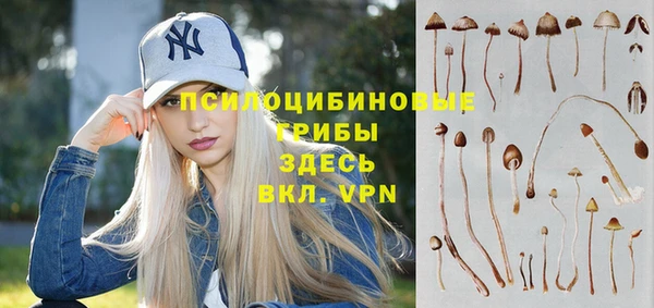 MDMA Алексеевка