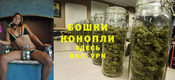 Альфа ПВП Абаза