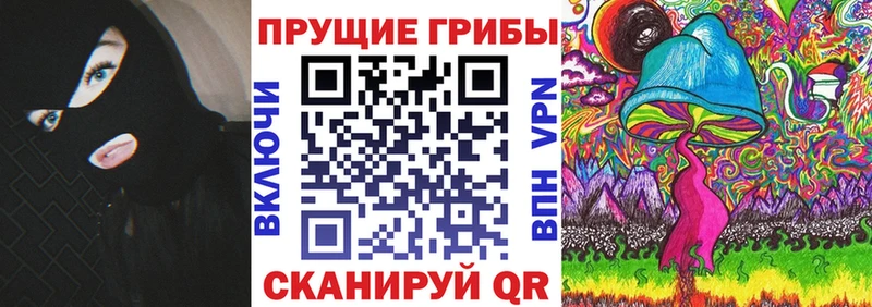 Галлюциногенные грибы мицелий закладка Нахабино
